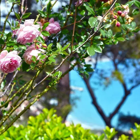 Torre Alpicella Home, A Scenic Escape Into Nature And Relaxation Feriehus
